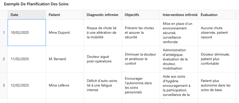 Exemple Démarche De Soin Aide Soignante Pdf 2022 Guide Infirmier - Planification des soins